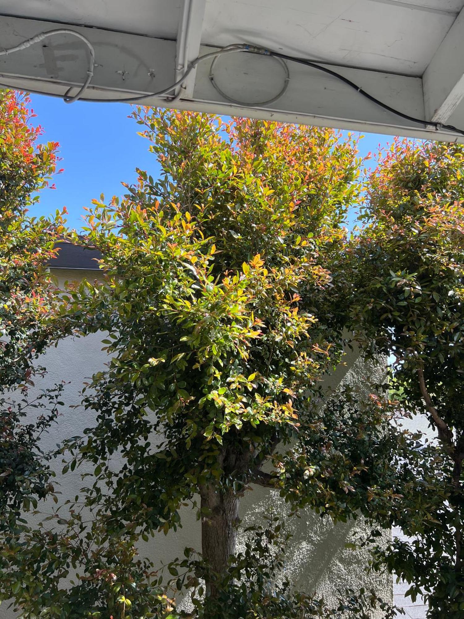 Sunny Franklin Place Los Angeles